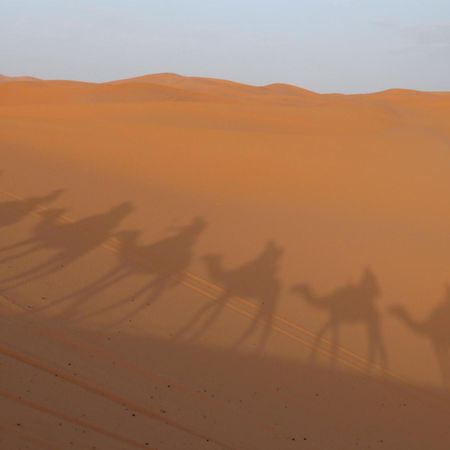 Merzouga Luxury Traditional Camp Exteriör bild
